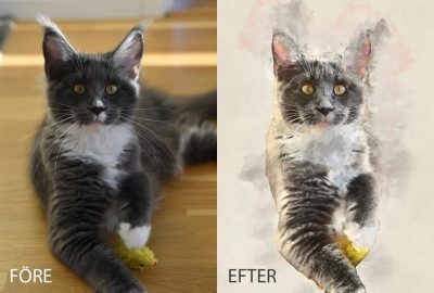 Enomis Fotografi - Bildbehandling - Katt, före & efter