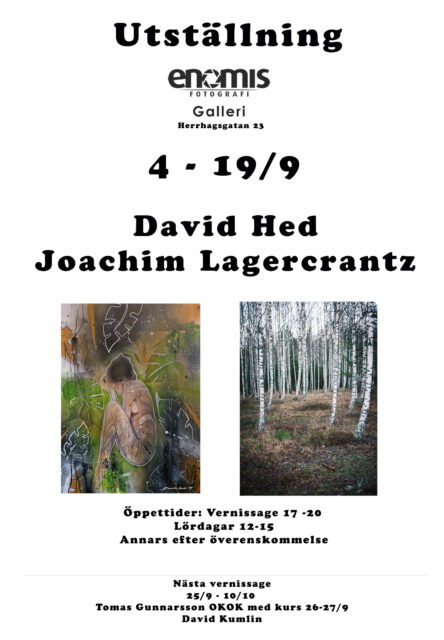 Vernissage enomis Galleri 