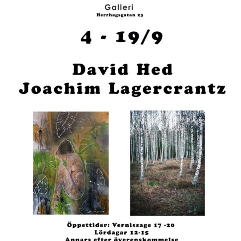 Vernissage enomis Galleri